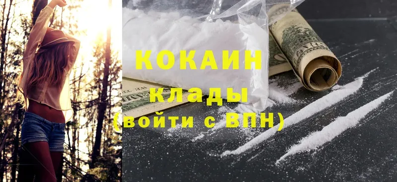 купить  цена  Электроугли  COCAIN FishScale 